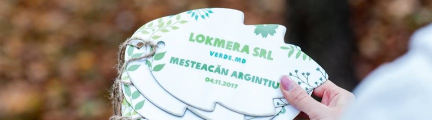 Readucem Chișinăului imaginea unui oraș mai verde